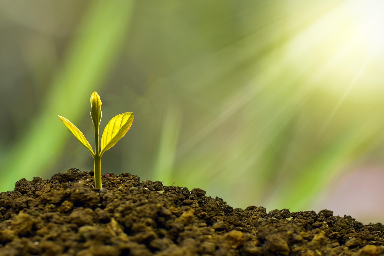 entdecken sie die besten tipps und strategien für erfolgreiche investitionen. erfahren sie alles über verschiedene anlageformen, risiken und chancen, um ihr vermögen nachhaltig zu steigern.