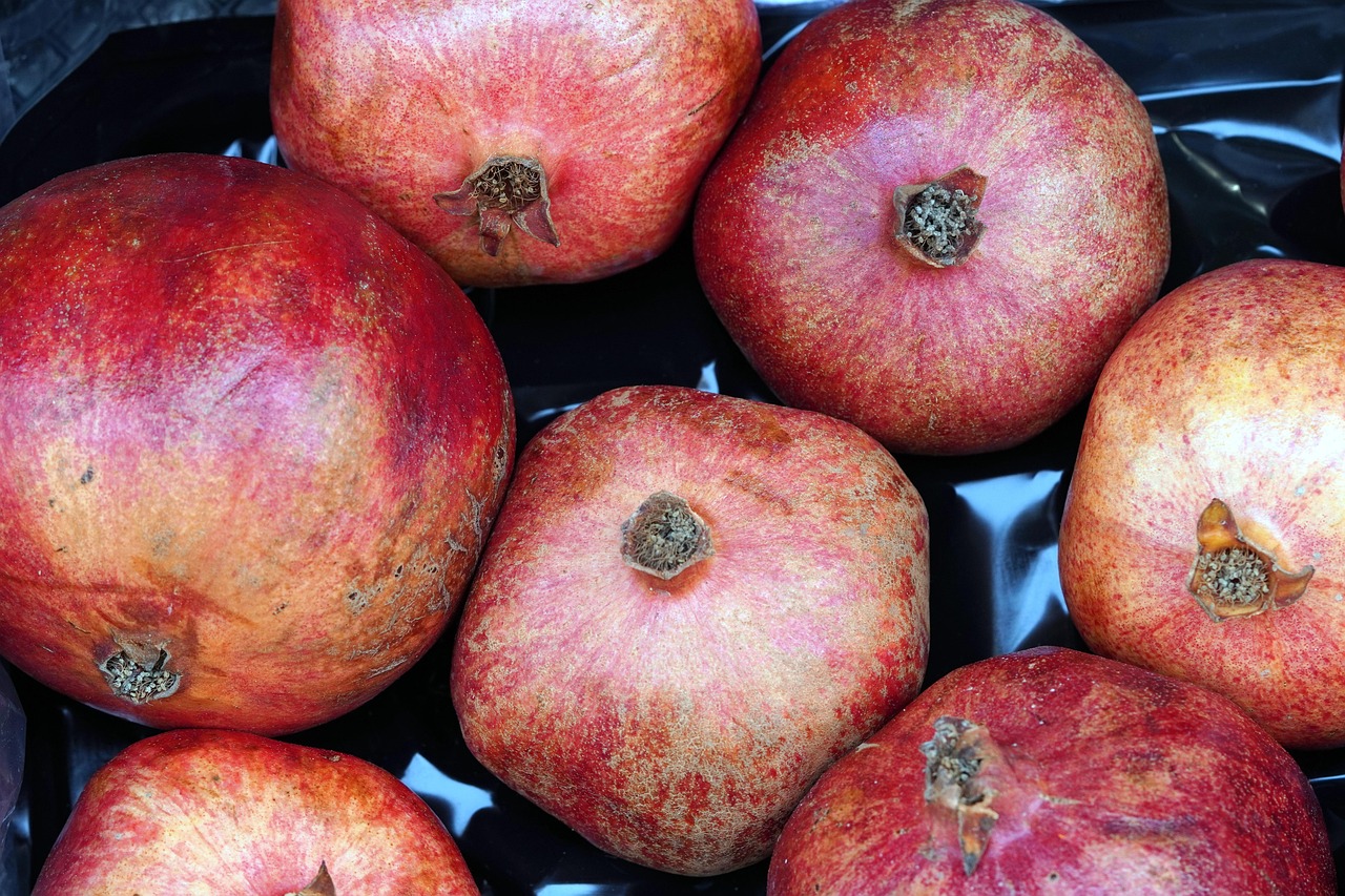 entdecken sie die vorteile von bio-lebensmitteln: gesunde ernährung, nachhaltige produktion und hoher genuss. erfahren sie mehr über bio-produkte und wie sie ihr wohlbefinden steigern können.