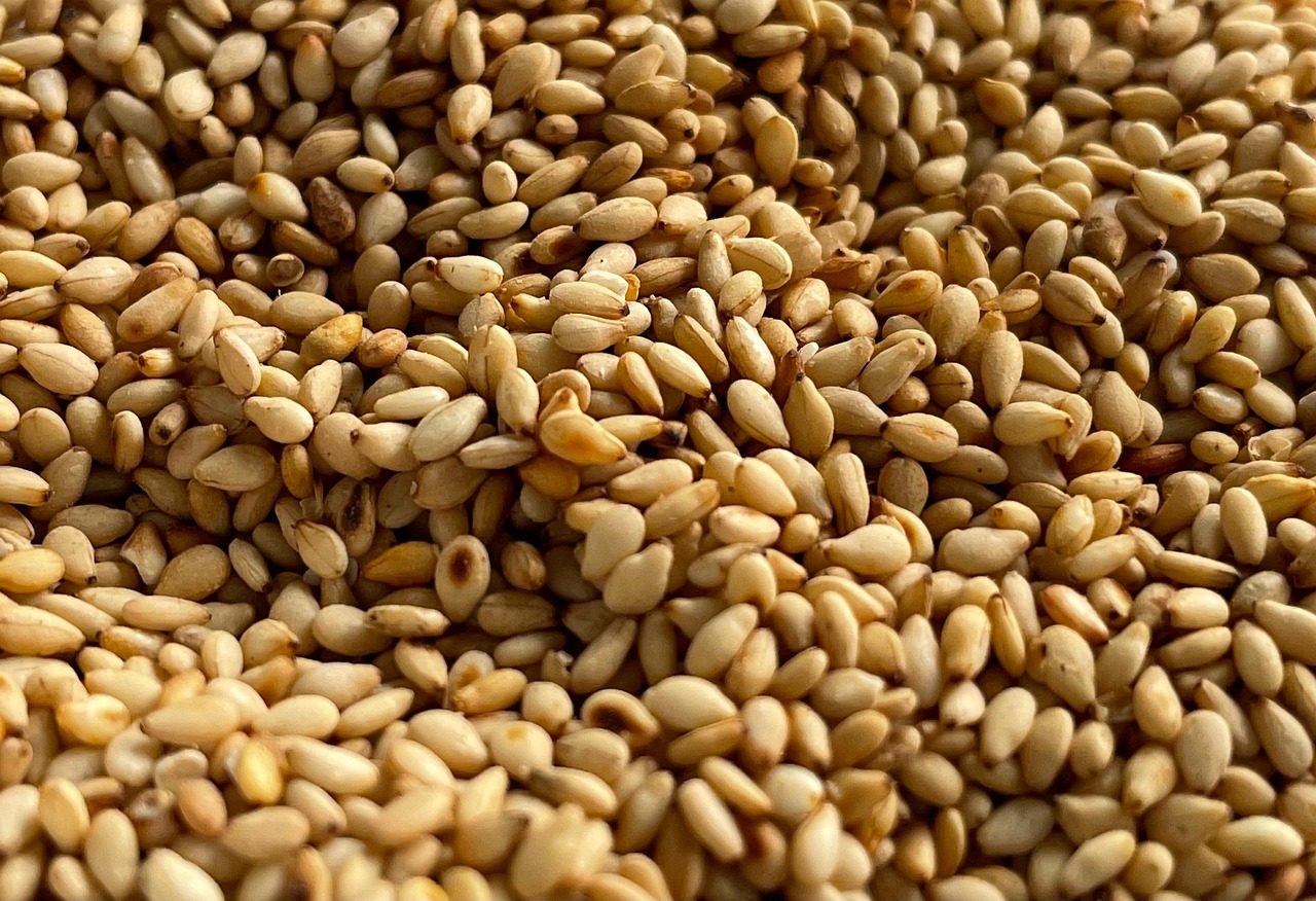 entdecken sie die besten superfoods für gesundheit und wohlbefinden! erfahren sie mehr über ihre vorteile, anwendungen und wie sie superfoods einfach in ihren alltag integrieren können.