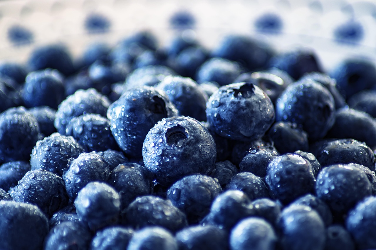 entdecken sie die welt der superfoods! erfahren sie, welche superfoods besonders gesund sind, wie sie sie in ihren alltag integrieren und welche vorteile sie für gesundheit und wohlbefinden bieten.