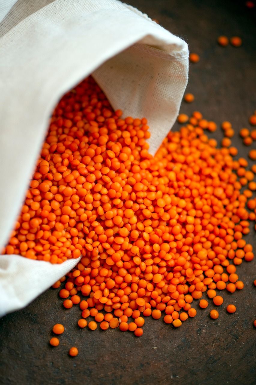 entdecken sie die vorteile von bio-lebensmitteln: gesunde ernährung, nachhaltige produktion und natürlicher geschmack. erfahren sie, warum immer mehr menschen auf biologische produkte setzen!