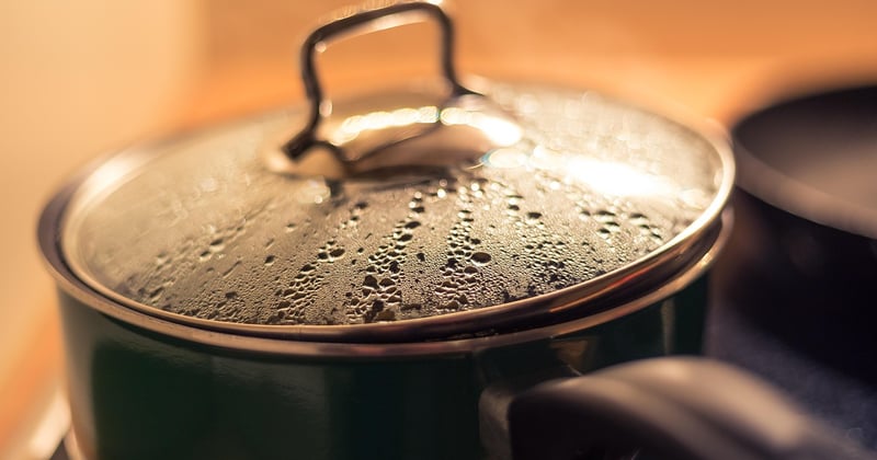 Silberfische bekämpfen: 7 wirksame Hausmittel, die sofort helfen
